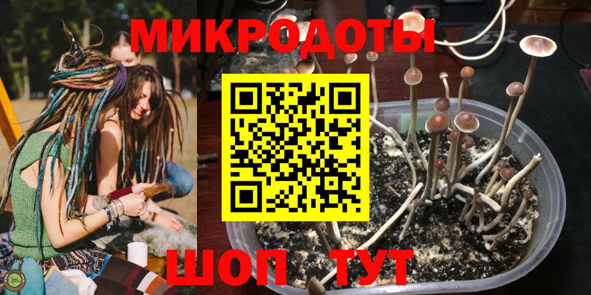 Псилоцибиновые грибы прущие грибы Набережные Челны