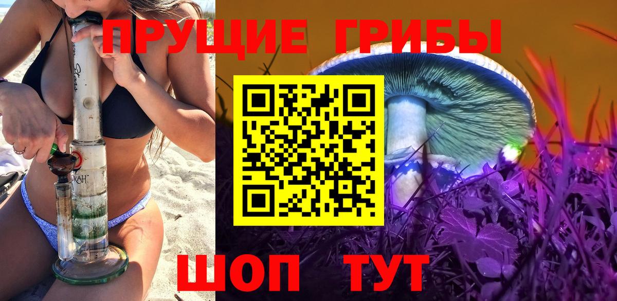 Галлюциногенные грибы прущие грибы  Вход с VPN  Набережные Челны 